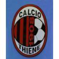 logo THIENE 1908